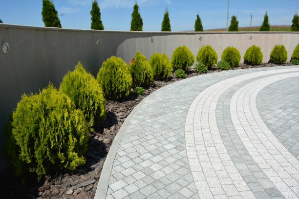 Best Commercial Driveway Pavers  in Brocton, NY